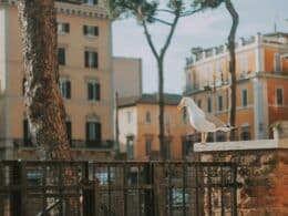 Itinerary for a Romantic Weekend in Rome