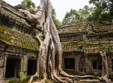 Discovering Angkor Wat in cambodge