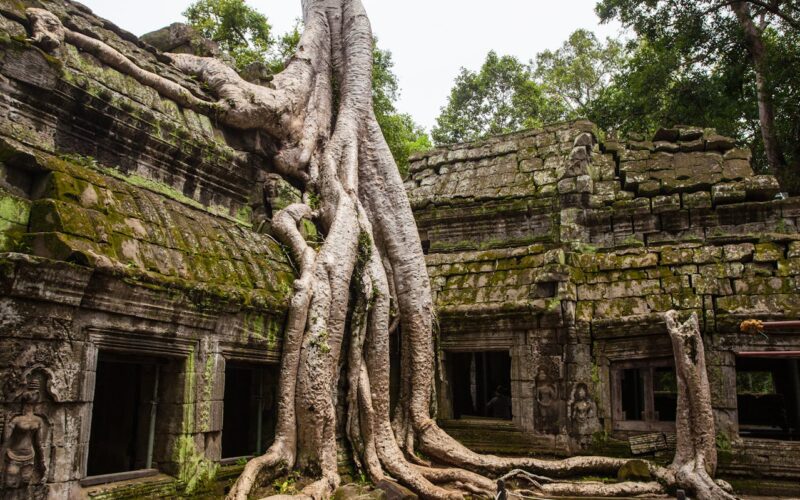 Discovering Angkor Wat in cambodge